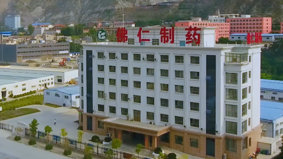 甘肃省副省长葛建团莅临sunbet申搏（002219）旗下佛仁制药考察调研